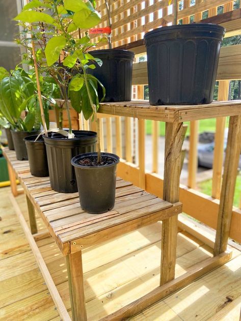 diy 2-tier plant stand Diy Tier Plant Stand, Pot Plant Stands Diy, Container Garden Stand, Diy Plant Stand Outdoor, Diy Outdoor Plant Stands, Outdoor Plant Stand Ideas, Plants On Deck, Diy Backyard Ideas, Timber Planters