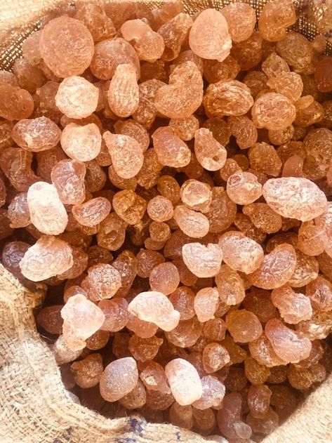 Nice acacia Senegal / Hashab / Grade 1 Gum Arabic, Import Export, West Africa, Grade 1, Dog Food Recipes, Food Animals, Gum, Condiments, Quick Saves