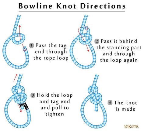 Directions for how to tie a bowline knot. Scout Knots, Sailing Knots, Fishermans Knot, Bowline Knot, Reef Knot, Camping Knots, Survival Knots, Best Knots, Knots Guide