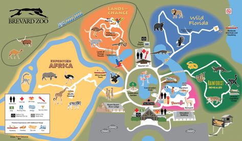 Brevard Zoo Map and Brochure (2021 - 2023) | ThemeParkBrochures.net Theme Park Map, Giraffe Feeding, Map Brochures, Zoo Map, Zoo Design, Zoo Project, Aquarium Garden, Zoo Architecture, Zoo Ideas