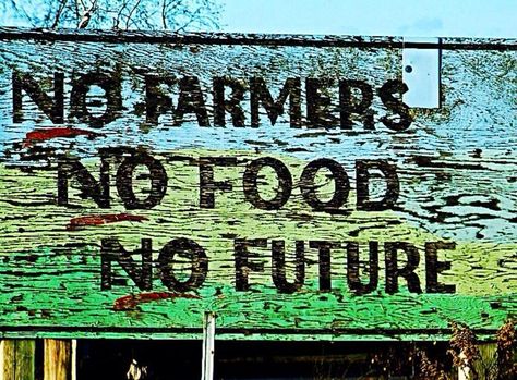 No #Farmers No #Food No #Future #Ag #Agriculture #Farming Agriculture Photography Farmers, Agriculture Slogans, Farming Quotes, Farming Slogans, Scenery Photography Nature, Save Food Poster, Agriculture Aesthetic, Agriculture Photography, Business Ideas For Women Startups