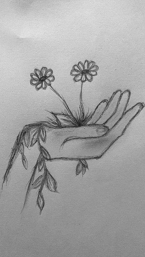 A Drawing, Pencil Drawing, Pencil, Flowers, Art