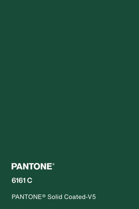 #pantone #green #color #pantone6161c Green Colour Pantone, Pantone Solid Coated, Colour Pantone, Pantone Green, Core Wardrobe, Summer Color Palette, Art Camp, Dark Green Color, Pine Green