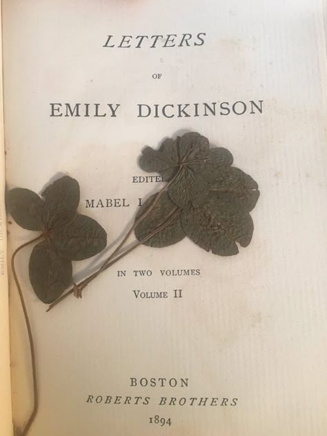 Bly Manor Jamie, Jamie Taylor, The Haunting Of Bly Manor, Haunting Of Bly Manor, Taylor Aesthetic, Dickinson Poems, Emily Dickinson Poems, Bly Manor, The Haunting