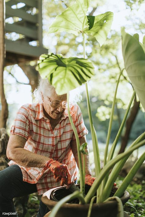 Shade Annuals, In Her Garden, Picture Prompts, Shade Flowers, Shade Perennials, Senior Living, Women Lifestyle, Old Age, Old People