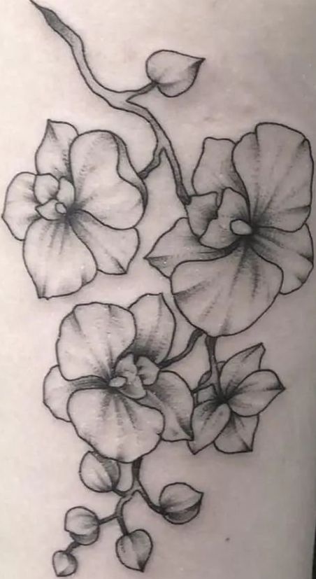 80+ Orchid Tattoos: Meanings, Tattoo Designs & Ideas Orchid Tattoo Design Drawings, Orchid Tattoo Men, Cattleya Orchid Tattoo, Orchids Tattoo, Orchid Tattoo Design, Orchid Tattoo Meaning, Orchid Meaning, Orchid Tattoos, Hipster Coffee Shop