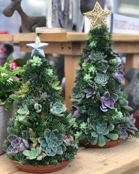 Plant Christmas Ornaments, Succulent Christmas Tree Diy, Succulent Ornament, Succulent Christmas Tree, Purple Christmas Tree Decorations, Succulent Christmas, Christmas Candles Diy, Purple Christmas Tree, Succulent Tree