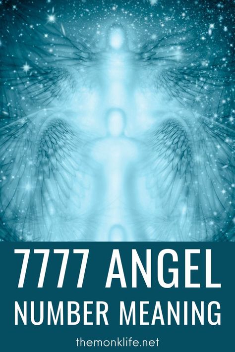 7777 is one such number that delivers a message sent from the Universe. What does this number denote? Does it signify good luck? Let us dig deep into the symbolic interpretation of angel number 7777. Angel Number 7777, 7777 Angel Number Meaning, 7777 Angel Numbers, Angel Spirit, Angel Number Meaning, Spiritual Awakening Signs, Angel Number Meanings, Psychic Reader, Your Guardian Angel