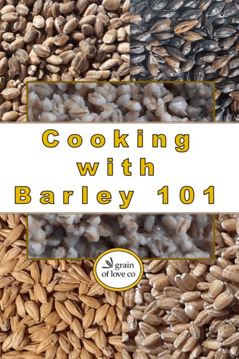 How To Cook Barley Grains, Hulled Barley Recipes, Plant Based Barley Recipe, Barley Seeds, Pearled Barley, Barley Grain, How To Cook Barley, Black Bean Recipes, Pearl Barley