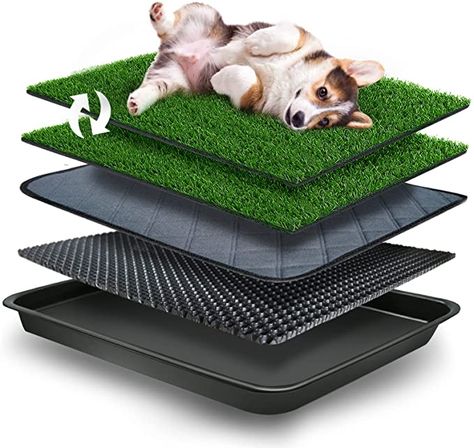 Amazon.com : GoldOuya 23*19in Pet Potty Grass Mat with Tray, Complete Potty System for Indoor/Outdoor Puppy Training, Reusable Pet Litter Box Training Pads is Easy to Clean Good and Use : Pet Supplies Fake Grass For Dogs, Indoor Dog Potty, Dog Litter Box, Pet Training Pads, Grass Mat, Dog Pee Pads, Dog Potty Training, Dog Potty, Potty Training Puppy