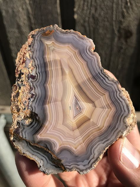 Laguna Agate | by SiO4collector Dream Crystals, Laguna Agate, Cool Rocks, Cute Room Decor, Gems And Minerals, Wonders Of The World, Agate, Gems, Room Decor