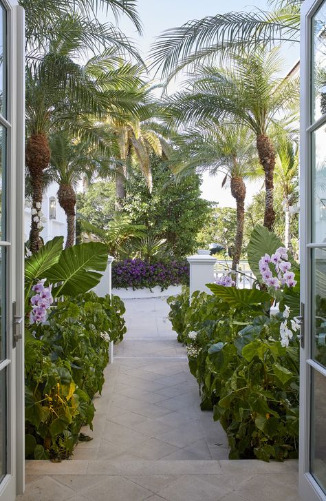 Tour a Classic Palm Beach Estate Reimagined by Redd Kaihoi – Frederic Magazine Knotty Pine Paneling, Florida Mansion, Stair Gallery, Palm Beach Style, Custom Shades, Palm Beach Gardens, Tropical Houses, Beach Living, Tropical Landscaping