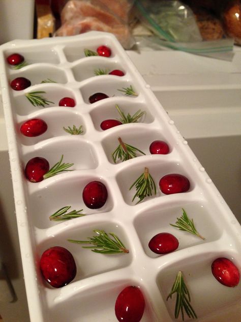 Cranberry and rosemary in ice cubes for some festive decor- yes please! Julkransar Diy, Fancy Ice Cubes, Fruit Ice Cubes, Christmas Hosting, Fancy Ice, Xmas Dinner, Christmas Dinner Party, Hosting Christmas, Christmas Cocktail