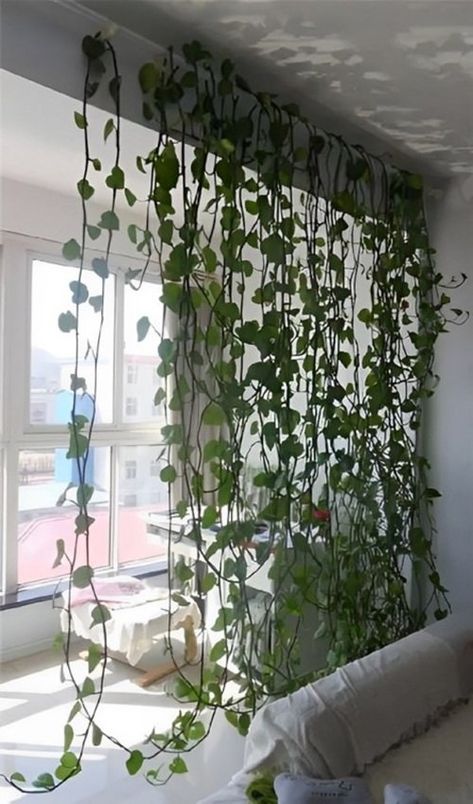 Pothos Curtain, Hanging Plants Indoor Bedroom, Indoor Vines, Apartment String Lights, Wall Hanging Decorations, Plant Display Ideas, Indoor Plant Wall, Artificial Plant Wall, Plant Wall Decor