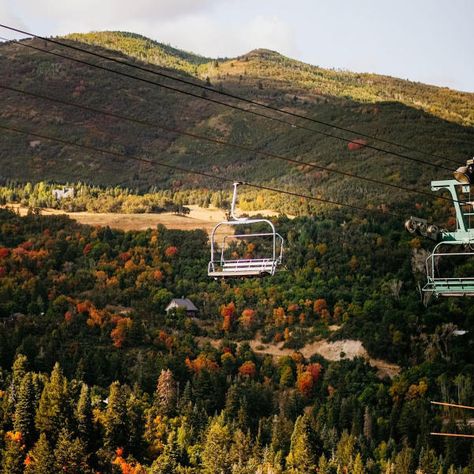 Utah Valley Fall Bucket List | Explore Utah Valley Sundance Utah, American Fork Canyon, Autumn Activity, Sundance Resort, Alpine Loop, Halloween Themes Decorations, Bridal Veil Falls, Halloween Adventure, Pumpkin Patches