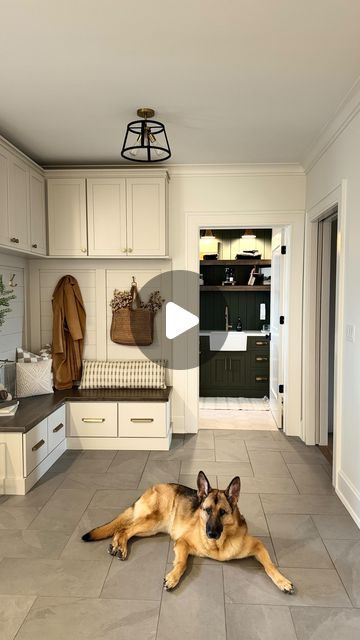 Erica Soutar on Instagram: "Our mudroom is a space I absolutely love! We were able to incorporate a dog room, our laundry room, a drop zone area in the mudroom and a powder bathroom all in this space.   We have a door that leads out onto the back patio/pool area for easy access in the summer to the powder bathroom.   What would be a must have in your mudroom? Share below!   Be sure to save this post for mudroom inspiration ✨ . . . #mudroom #laundryroom #dogroom #powderbathroom #mudroomdesign #mudroomlayout #mudroominspiration #laundryroomdecor" Mudroom Bathroom Combo Layout, Mudroom With Dog Wash, Mudroom Inspiration, Powder Bathroom, Dog Room, Patio Pool, Mudroom Design, Drop Zone, Dog Wash