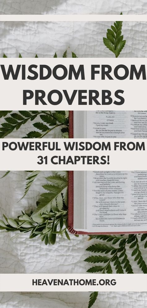 This guide goes through Proverbs (chapter by chapter) and points out a lot of the advice it gives us. Seeing it all laid out in this way might come in handy when we’re seeking wisdom, learning to recognize it, praying for it, and practicing it. Proverbs 1, Proverbs Study, The Book Of Proverbs, Proverbs Study Guide, Proverbs Chapter 1, Book Of Proverbs Bible Studies, Proverbs 19:20-21, Proverbs 2:6 Wisdom, Proverbs 6:16-19