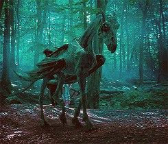 Thestral Thestral Harry Potter, Hogwarts Subjects, Harry Potter Creatures, Harry Potter Cosplay, Lord Voldemort, Fantastic Beasts And Where, Harry Potter Cast, Harry Potter Aesthetic, Wizarding World Of Harry Potter