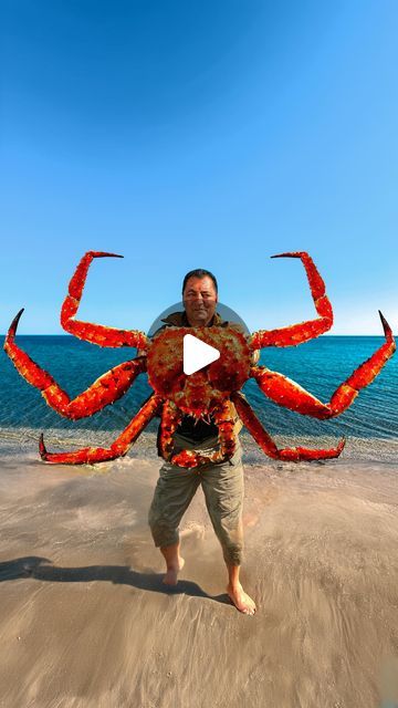 Wilderness Cooking | 🍋YouTube Channel 5M+ on Instagram: "🦀Giant Crab with Signature Sauce

#crab #outdoorcooking #cookingoutdoors #wildchefs #mediterranean #mediterraneandiet #crabrecipes #mediterraneanfood #mediterraneanlife #meat #crabmeat #crabdip #crabcake #recipes #cooking" Wilderness Cooking, Red King Crab, Giant Crab, Crab Dip, Crab Recipes, King Crab, Crab Meat, Crab Cakes, Mediterranean Recipes