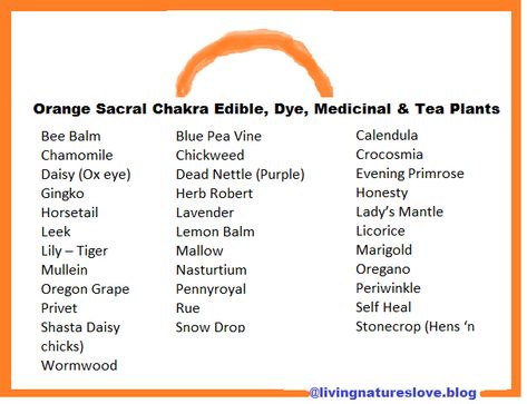 Sacral Chakra Herbs, Sacral Chakra Tea, March Moon, Chakra Garden, Healing Colors, Clear Chakras, Goddess Garden, Womens Circle, Living In Nature