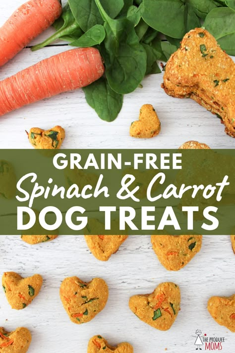 Carrot Dog Treats, Homemade Dog Biscuits, Dog Cookie Recipes, Dog Treat Business, Carrot Dogs, Dog Treats Recipes, Christmas Dog Treats, Pet Treats Recipes, Dog Treats Grain Free