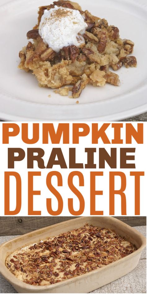 Pumpkin Praline Dessert is a quick and easy alternative to pumpkin pie!  This pumpkin dessert is a twist on dump cake and has the crunch of pecans! #pumpkin #praline #thanksgiving via @sweeterbydesign Pumpkin Praline Cake, Pumpkin Praline Dessert, Praline Pumpkin Upside Down Cake, Keto Pumpkin Pecan Dump Cake, Pumpkin Praline Bundt Cake, Pumpkin Praline, Peter Pumpkin, Praline Cake, Pumpkin Eater