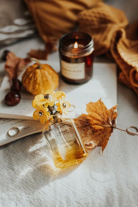 Photography of Fall Trees · Free Stock Photo Marc Jacobs Daisy Perfume, Daisy Perfume, Perfume Photography, Unisex Perfume, Dry Leaf, Perfume Gift, Fall Scents, Luxury Perfume, Luxury Fragrance