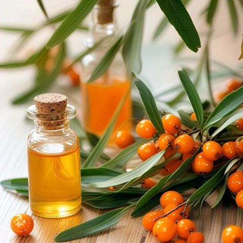 Unlock the Power of Sea Buckthorn Oil for Radiant Skin! Did you know? Sea Buckthorn Oil is packed with antioxidants, vitamins, and fatty acids that can transform your skin! Benefits: Regenerates skin cells for a smoother complexion Hydrates and plumps fine lines and wrinkles Fades acne scars and hyperpigmentation Protects against environmental stressors Soothes and calms irritated skin This miracle oil: Boosts collagen production Rich in Vitamins A, C, E, and Omega 3, 6, 9 Add Sea Buckt... Buckthorn Seed Oil, Sea Buckthorn Oil, Boost Collagen Production, Sea Buckthorn, Skin Benefits, Collagen Production, Fine Lines And Wrinkles, Radiant Skin, Omega 3