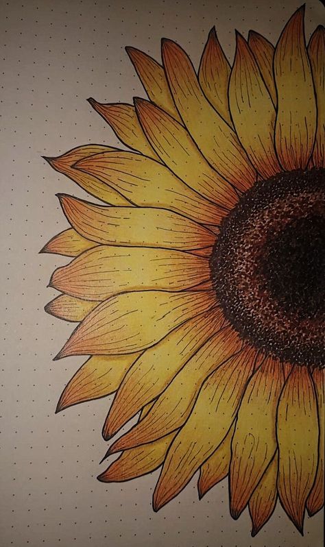 Odyssey Art, Finding Your Style, Desenhos Love, Aesthetics Art, Name Drawings, Drawing Arts, Basket Drawing, Sunflower Drawing, Art Aesthetics