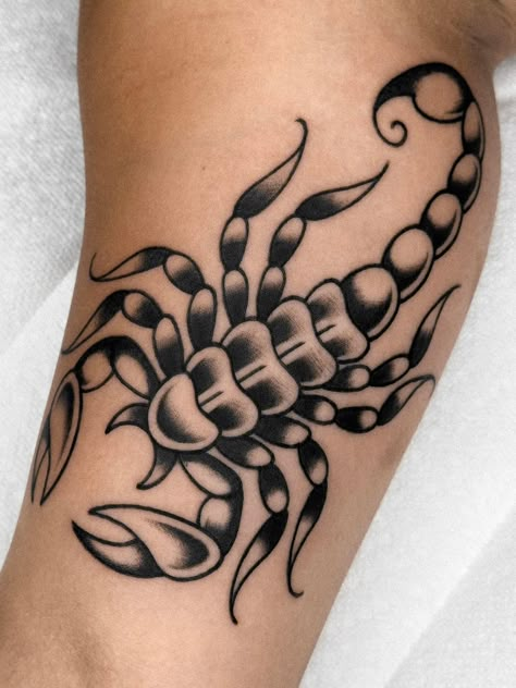 American Traditional Tattoos Scorpion, Edgy American Traditional Tattoo, Gothic Scorpion Tattoo, Scorpio Tattoo Traditional, American Traditional Fox Tattoo, American Traditional Tattoos Black Grey, Scorpion Tattoo Traditional, Traditional Centipede Tattoo, Traditional Cobra Tattoo