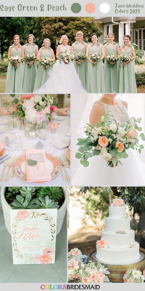 Sage Green Peach Gold Wedding, Sage Peach And Gold Wedding, Sage Green Peach And White Wedding, Mint Color Palette Wedding, Safe And Peach Wedding, Dusty Sage And Peach Wedding, Sage And Peach Wedding Centerpieces, Peach Green White Wedding Color Schemes, Sage Green And Pastel Orange Wedding