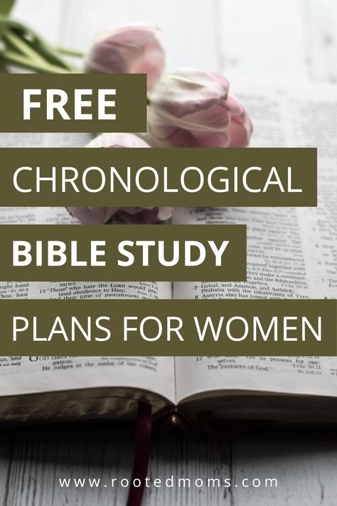 Chronological Bible Study, Read The Bible In A Year Chronological, Monthly Bible Study Plans, Reading The Bible In Chronological Order, Chronological Bible Reading Plan Year, Where To Start Reading The Bible, Bible Study Plans For Women, Bible Reading Plan For Women, Bible In A Year Plan