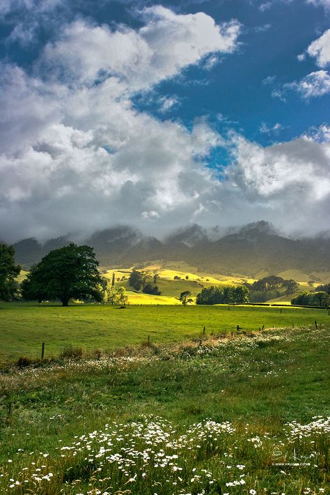 New Zealand Takaka New Zealand, House In New Zealand, Newzealand Nature Wallpaper, Nature New Zealand, Waikato New Zealand, New Zealand November, Summer In New Zealand, New Zealand Lord Of The Rings, New Zealand Life