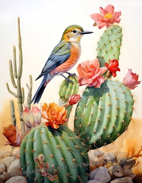 Vermilion Flycatcher Bird on Cactus Southwest Desert Giclée Art Print 8.5x11 | eBay Birds On Cactus, Watercolor Art Landscape Flowers, Desert Drawings, Desert Reference, Prickly Pear Art, Southwest Paintings, Flycatcher Bird, Cacti Art, Odyssey Art