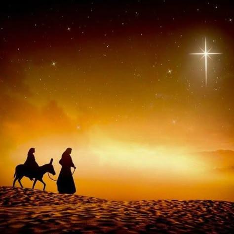 Stream Journey To Bethlehem by FSSPX-audio | Listen online for free on SoundCloud The Star Of Bethlehem, Journey To Bethlehem, Nativity Scenes, Christmas Card Art, Star Of Bethlehem, Graphic Wallpaper, Backdrops Backgrounds, Bethlehem, Christmas Art