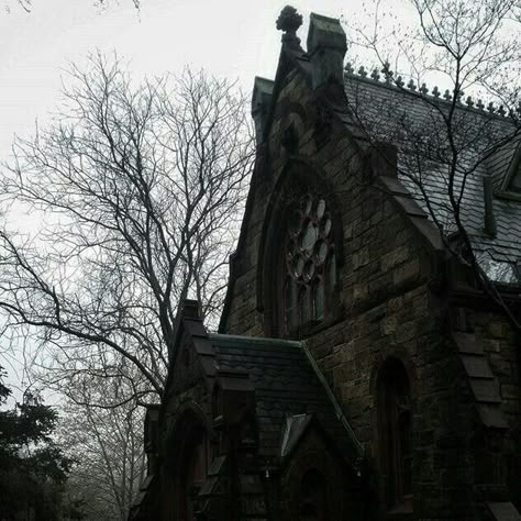 Goth Architecture, Gothic Academia, Darkest Academia, Gothic Aesthetic, Dark Gothic, Goth Aesthetic, Dark Academia Aesthetic, Six Feet Under, Gothic Architecture