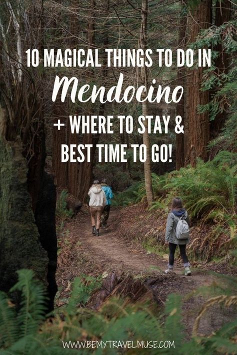 The Most Magical Things to Do in Mendocino Mendocino California Outfits, Pch Road Trip, Northern California Travel, California Coast Road Trip, Mendocino California, Redwood Trees, Mendocino Coast, California Hikes, Magical Things