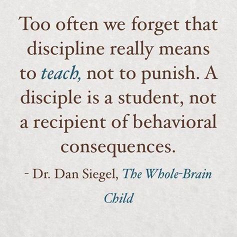 Dan Siegel, Whole Brain Child, Discipline Quotes, Peaceful Parenting, Parenting Skills, Gentle Parenting, Memes Humor, Good Parenting, Parenting Quotes