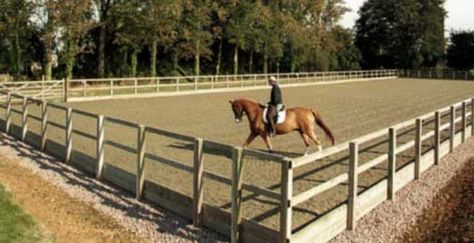 Equestrian Arena, Horse Riding Arena, Dressage Arena, Horse Farm Ideas, Riding Arena, Horse Arena, Dream Horse Barns, Horse Barn Plans, Horse Facility