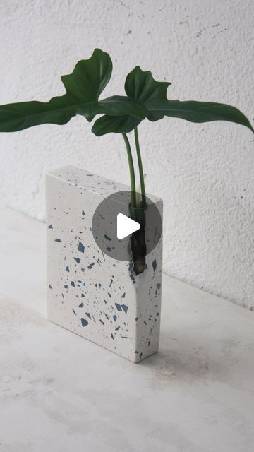 Making Concrete Pots, Easy Concrete Crafts, Cement Diy Ideas, Cement Vases Diy, Concrete Crafts Ideas, Concrete Vase Diy, Tulum Apartment, Diy Cement Projects, Diy Cement Candle Holders