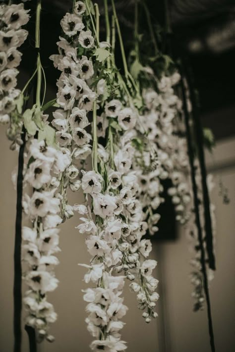 Anemone Wedding, Minimalist Monochrome, Elegant Modern Wedding, White Anemone, Wedding Arch Flowers, Arch Flowers, Anemone Flower, Modern Wedding Cake, Flower Crown Wedding