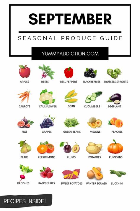 Squash Zucchini Recipes, Seasonal Produce Guide, Seasonal Fruits And Vegetables, Persimmon Recipes, Seasonal Eating, Seasonal Cooking, Fig Recipes, Seasonal Fruits, Seasonal Fruit