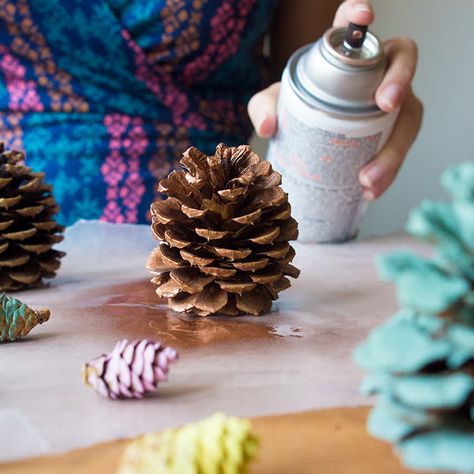 spray-paint-pine-cones Spray Paint Pine Cones, Floral Spray Paint, Painted Pine Cones, Flowers And Succulents, Spray Paint Projects, Witness For The Prosecution, Painted Pinecones, Old Records, Best Glue