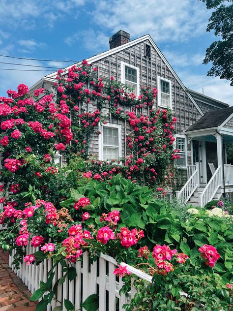 How to spend a weekend in Nantucket, best things to do and see in Nantucket, where to eat in Nantucket, travel tips! travel inspiration, Cape Cod, Massachusetts travel, beach vibes, summer bucket list, New England travel, New York getaways, summer getaways, weekend trips, travel aesthetic, summer vacation ideas, road trips from NYC, beach essentials Steps Beach Nantucket, Nantucket Travel, Vineyard Aesthetic, Nyc Beach, Castle Hill Lighthouse, Shopping Activities, Rhode Island Beaches, Meghan Wedding, Rhode Island Travel