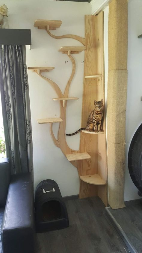 Cat Runner Wheel Diy, Home Office Cat Room, Cat Wall Tree, Corner Cat Tree, Diy Cat Wall Ideas, Katt Diy, Cat Climbing Wall, Katt Grejer, Cats Diy Projects