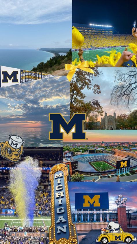 Umich Aesthetic, Senior Pranks, College Cheer, Michigan University, School Choice, College Aesthetic, Michigan Football, College Board, Dream College