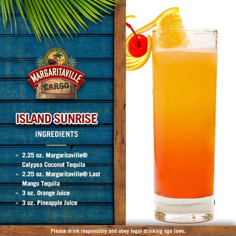 Margaritaville Machine Recipes, Tropical Alcoholic Drinks, Margarita Maker, Margaritaville Recipes, Margaritaville Frozen Concoction Maker, Good Bar, Margarita Machine, Whiskey Neat, Booze Drink