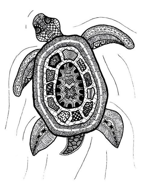 Turtle Anne Redpath, Zentangle Animals Art, Tangle Designs, Zantangle Art, Zentangle Animals, Art Zentangle, Turtle Print, Zen Tangle, Zentangle Designs