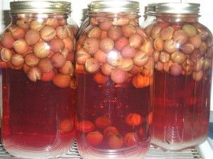 Canning Grape Juice- The Easy Way! Canning Grape Juice With Whole Grapes, Muscadine Recipe, Creative Canning, Homemade Grape Juice, Grape Jam Recipe, Wine Making Recipes, Homemade Wine Recipes, Muscadine Wine, Homesteading Tips