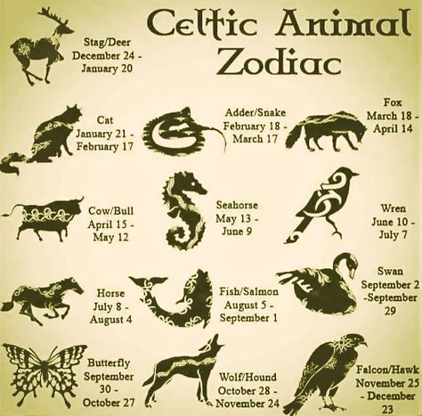 According to ancient Celtic lore, every person has a Celtic totem animal. This symbolizes the main qualities of the individual, comparing them to an animal with those same qualities. The period of the Druids who were responsible for Celtic signs, was a period of history in Britain and Europe, lasting from 500BC and 400AD. Animal Zodiac Signs, Celtic Animal Zodiac, Celtic Zodiac, Celtic Animals, Animal Zodiac, The Zodiac Signs, Celtic Symbols, Pet Signs, Celtic Art